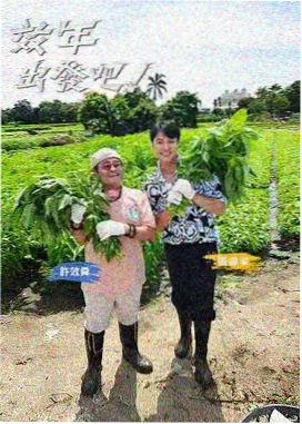 答案在现场综艺海报